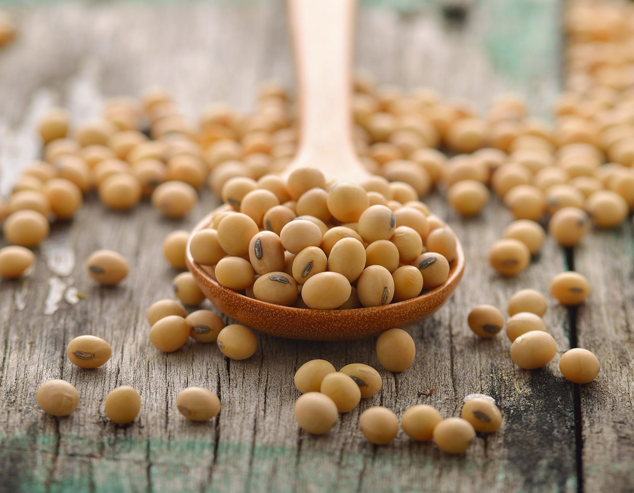 Soy: Unpacking Benefits, Busting Myths, & Health Facts